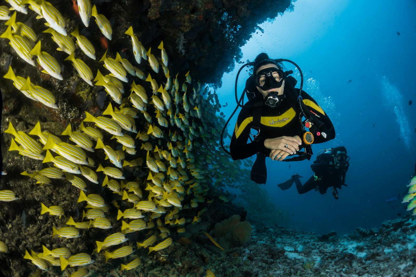 Pemuteran Menjangan Marine