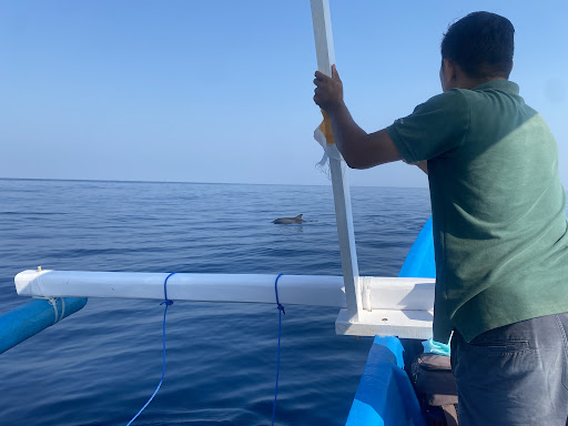 Pemuteran dolphin tour & sun rise